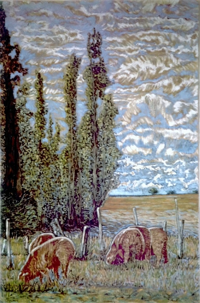 Immagine Patagonia dall'archivio Pigi Contin